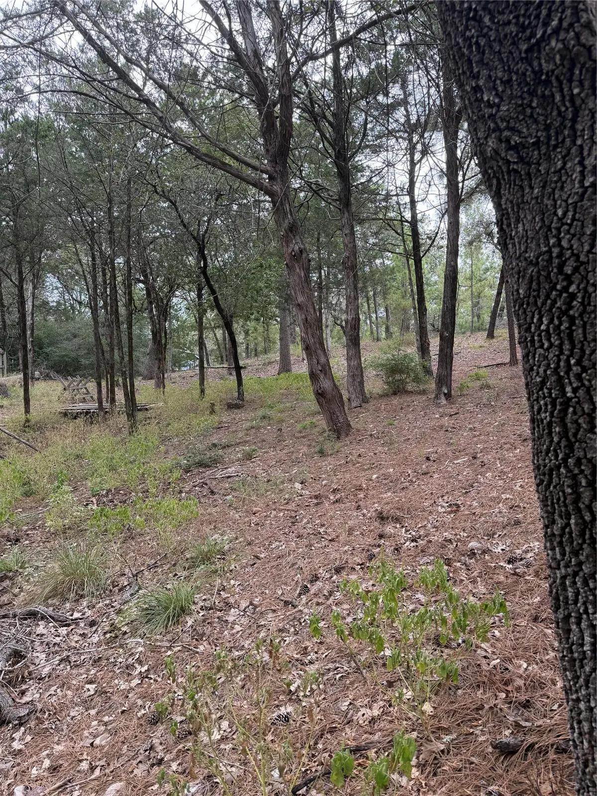 Multiple Lots Aka Ct, Bastrop, TX 78602 - #1