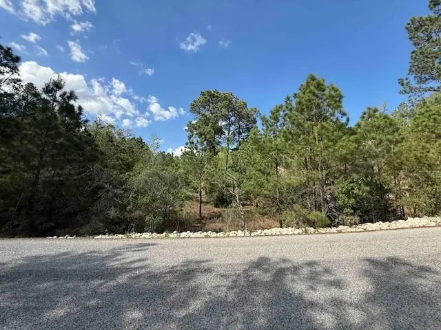 TBD Tbd, Bastrop, TX 78602 - #3