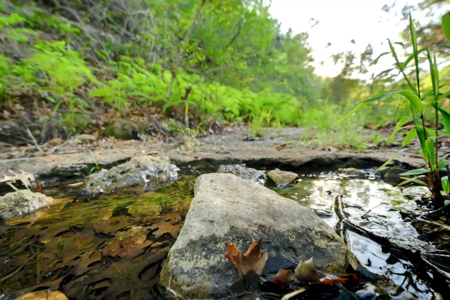 10700 Fm306, New Braunfels, TX 78132 - Image #3