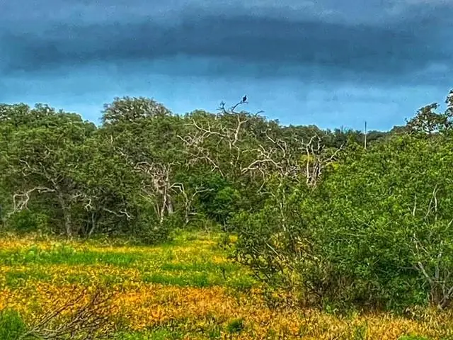 0000 Cr 296, Richland Springs, TX 78761 - Image #3