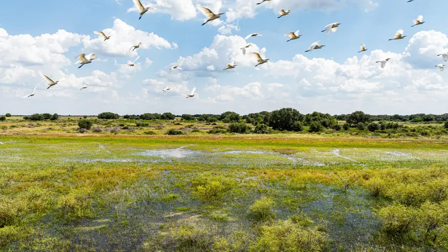 TBD Cr 106, Rock Island, TX 77470 - Image #3