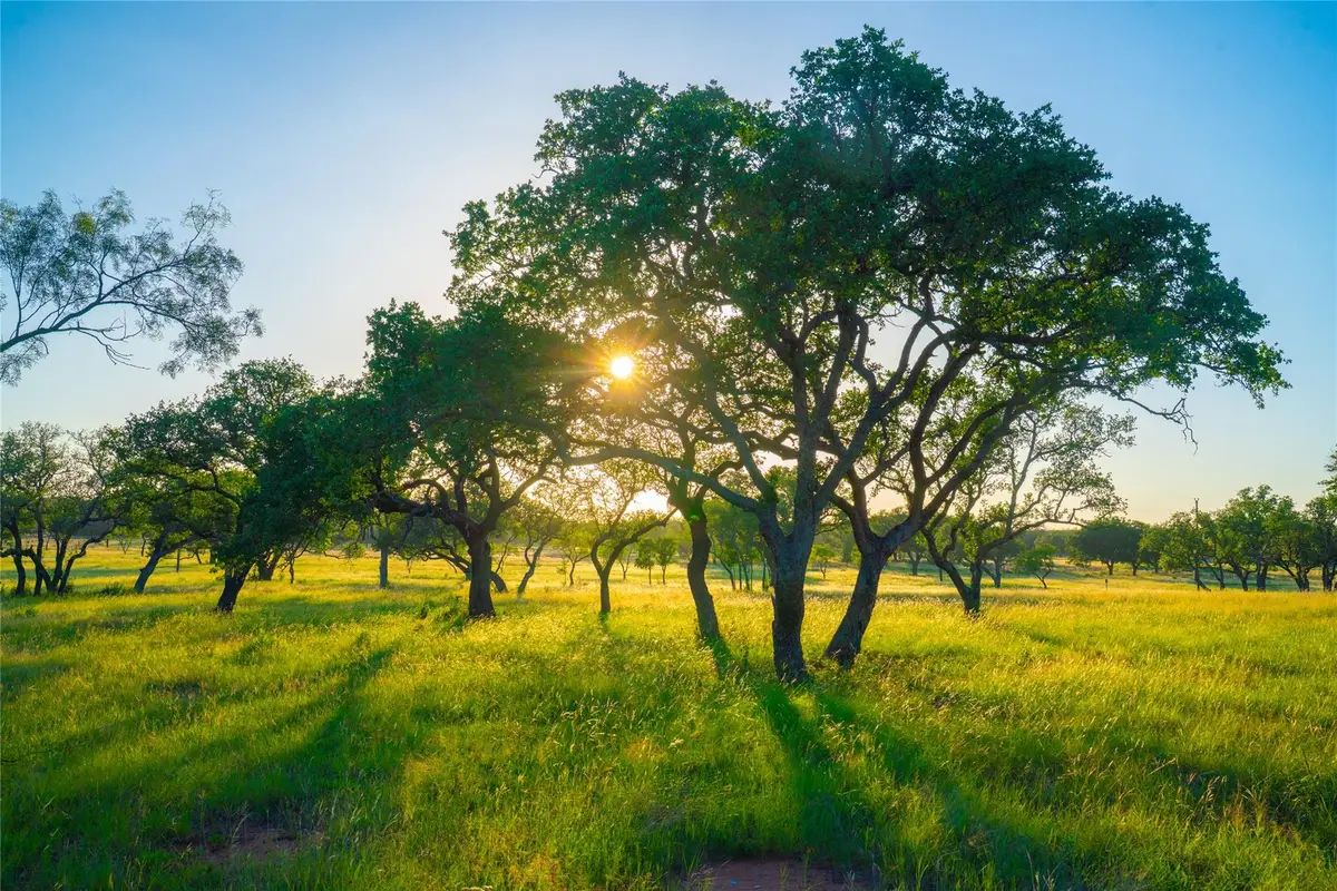 000 Rolling Oaks Rnch, Johnson City, TX 78636 - Image #1