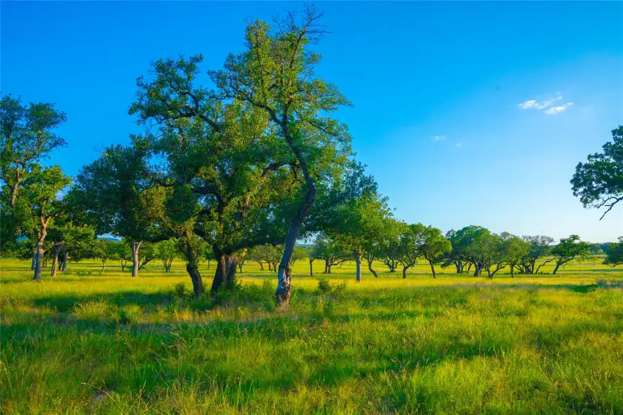 000 Rolling Oaks Rnch, Johnson City, TX 78636 - Image #2