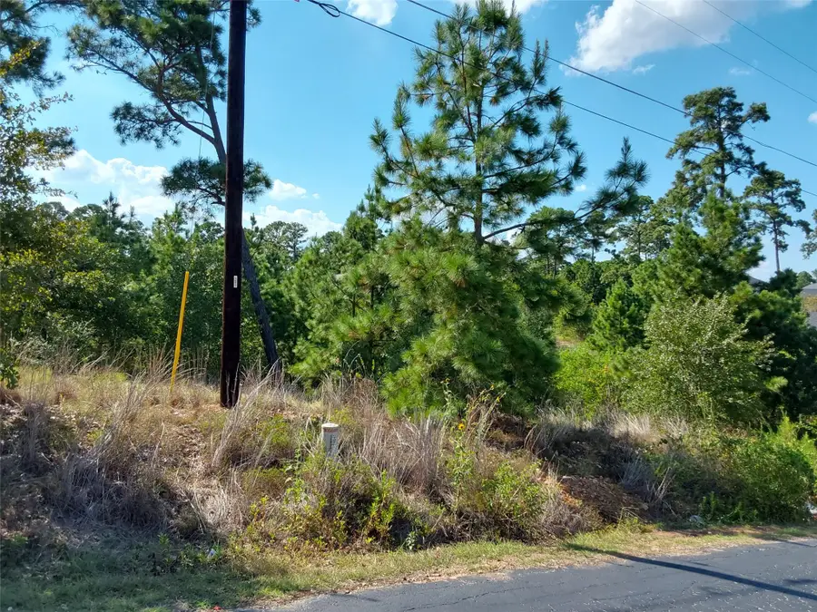128 Mokalau Dr, Bastrop, TX 78602 - #2