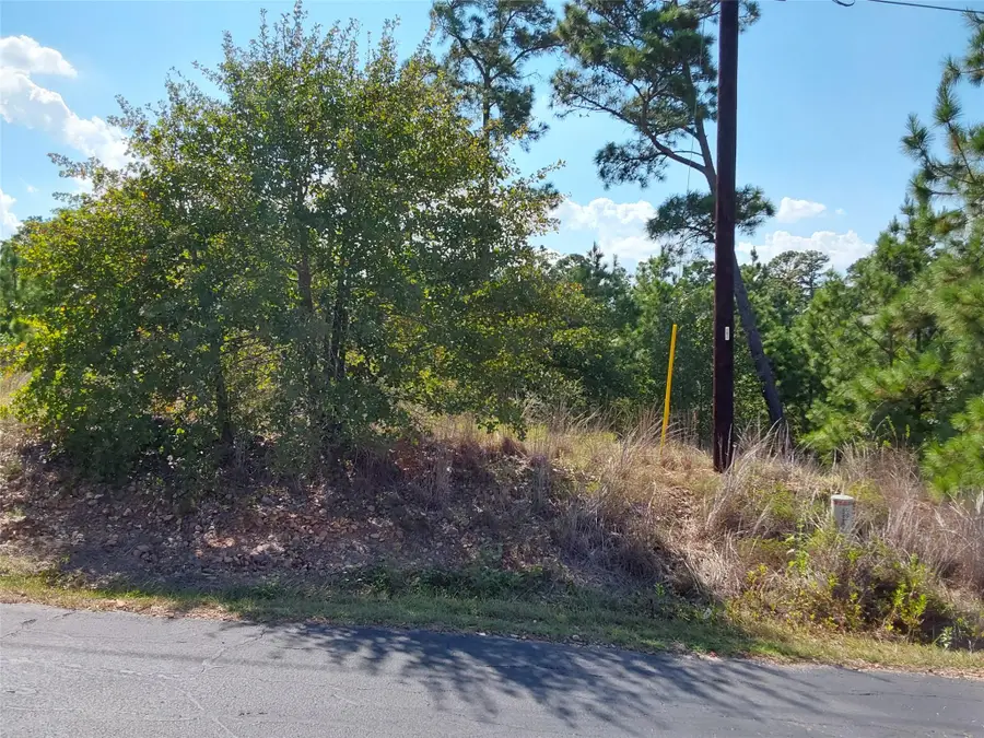 128 Mokalau Dr, Bastrop, TX 78602 - #3