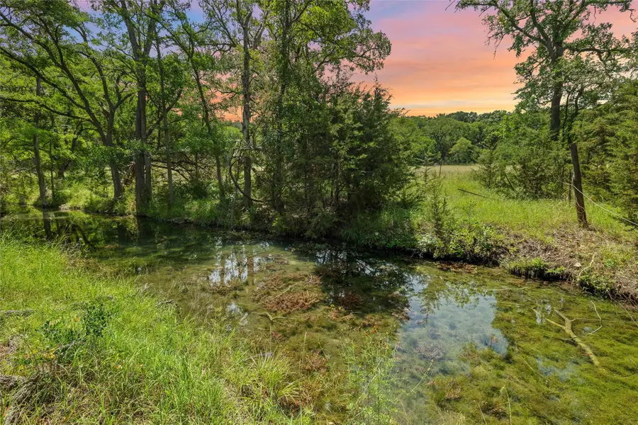 1128 Posey Ranch Rd, Fischer, TX 78623 - #2