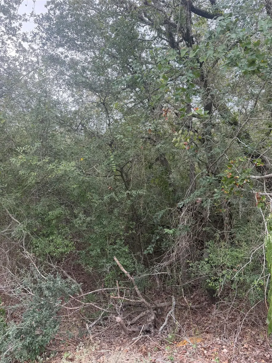 123 Mokuleia Cir, Bastrop, TX 78602 - #3