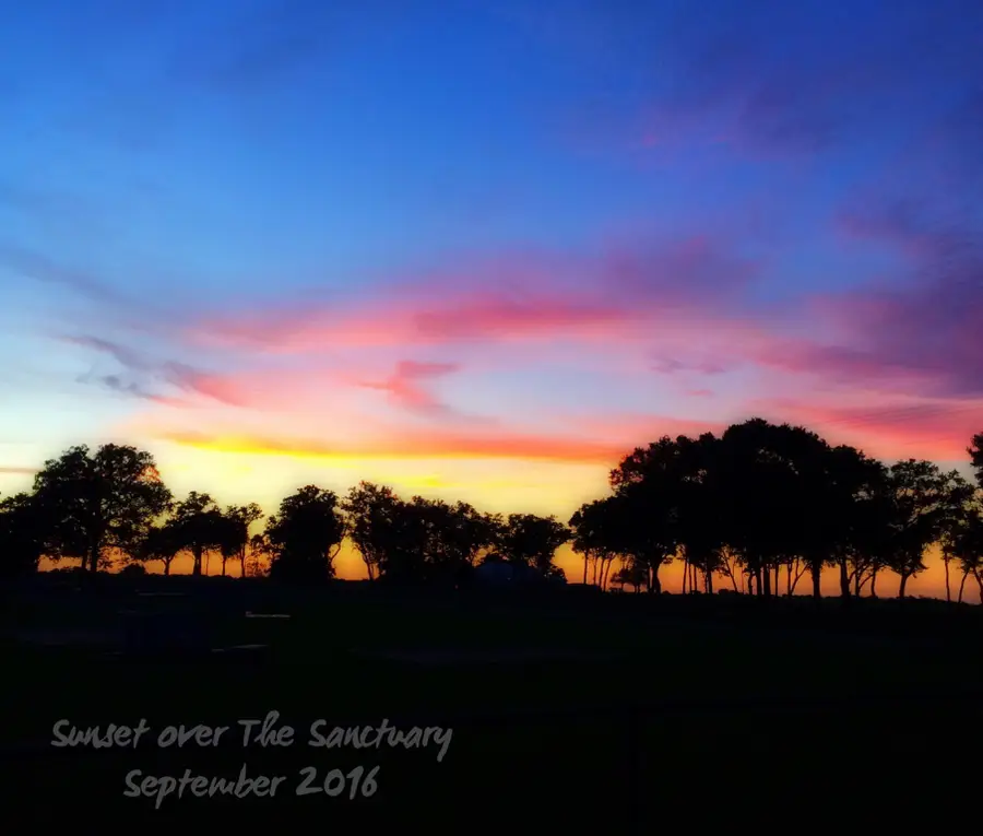 309 Stolle Ln, Flatonia, TX 78941 - Image #2