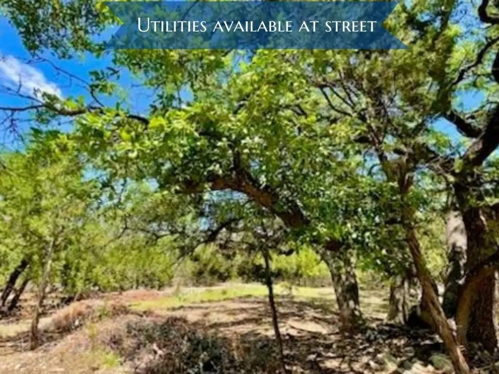 21422 Patton Ave, Lago Vista, TX 78645 - #1