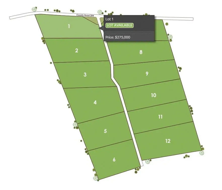 1115 Tract 3 - County Road 204 Rd, Burnet, TX 78611 - #3