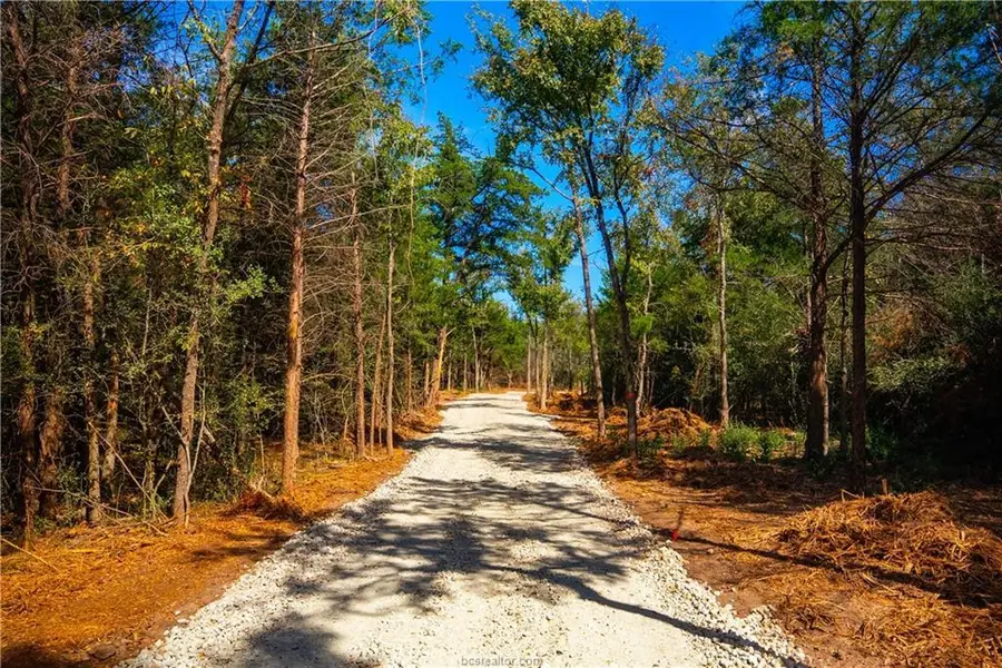 12504 Red Hill Rd, Hearne, TX 77859 - #3