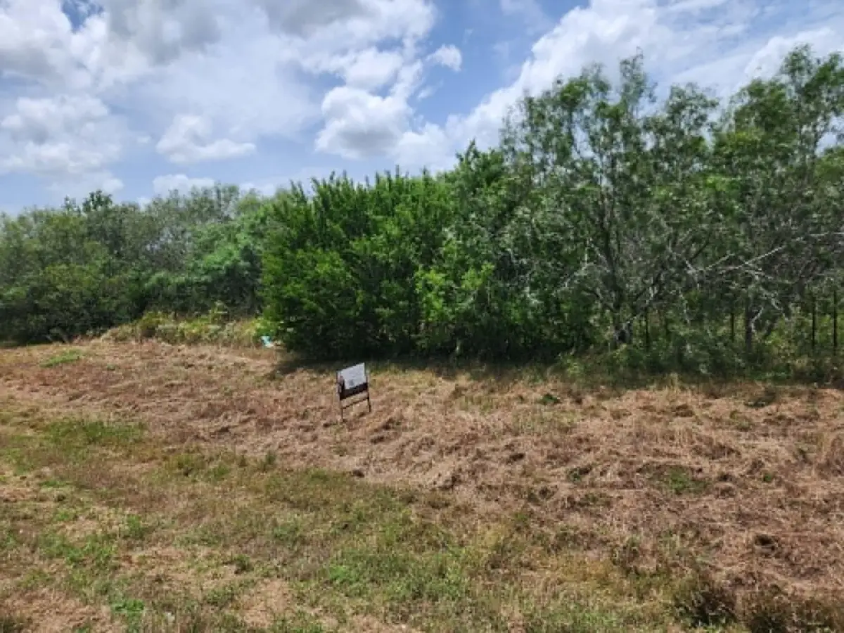 000 Fm 466 St, Cost, TX 78614 - #1