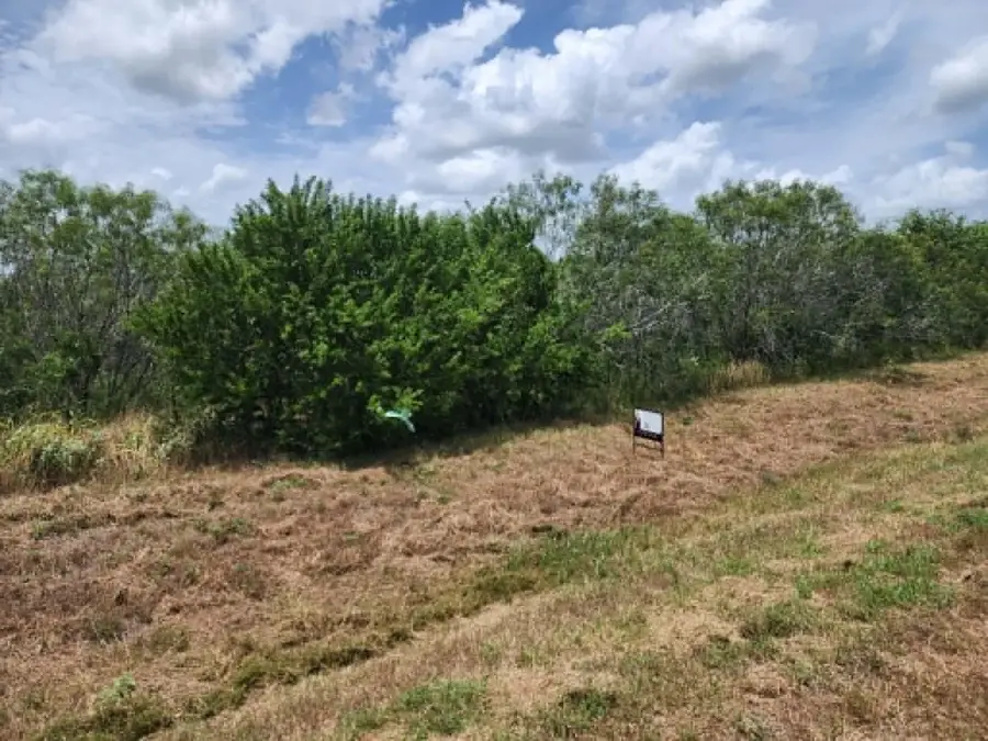 000 Fm 466 St, Cost, TX 78614 - #3