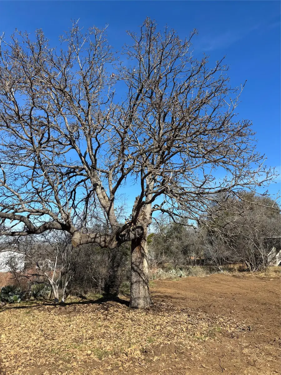 0 Castleshoals Dr, Granite Shoals, TX 78654 - Image #2