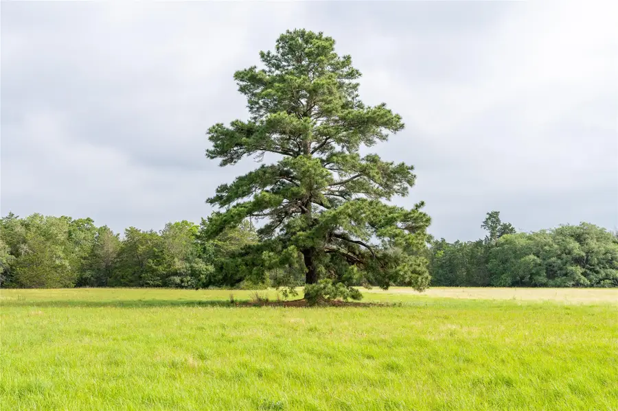 TBD Fm 713 Highway, Rosanky, TX 78953 - Image #2