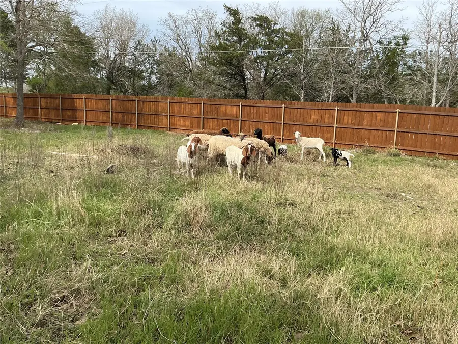 125 Turkey Run, Cedar Creek, TX 78612 - #3