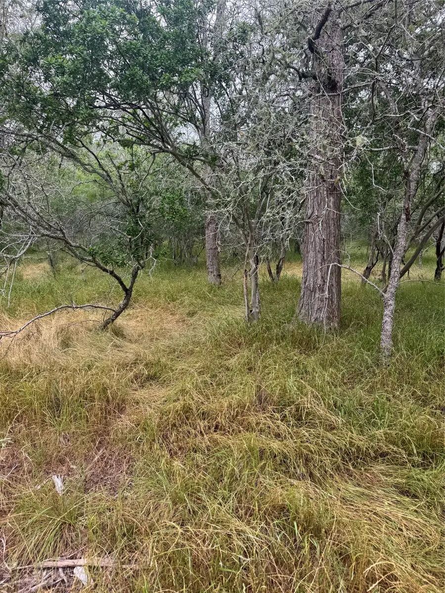 109 Hauula Ct, Bastrop, TX 78602 - #2