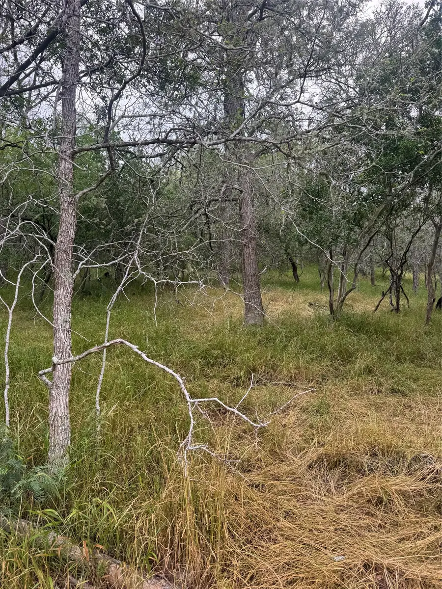 109 Hauula Ct, Bastrop, TX 78602 - #3