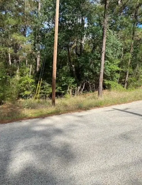 Lot 93 Papawai Dr, Bastrop, TX 78602