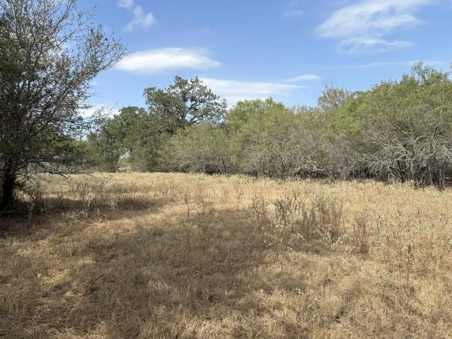 TBD 207.5 +/- ACRES Anchor Ranch Loop, Flatonia, TX 78941 - Image #3