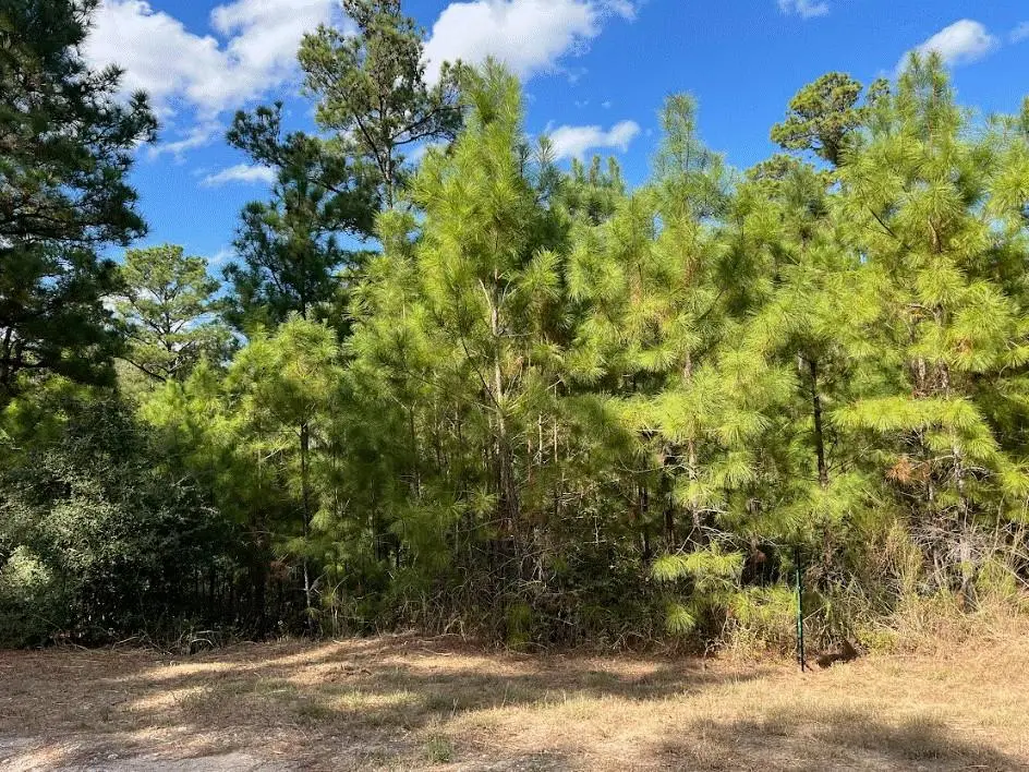 Lot 986 Kailua L Ln, Bastrop, TX 78602 - #1