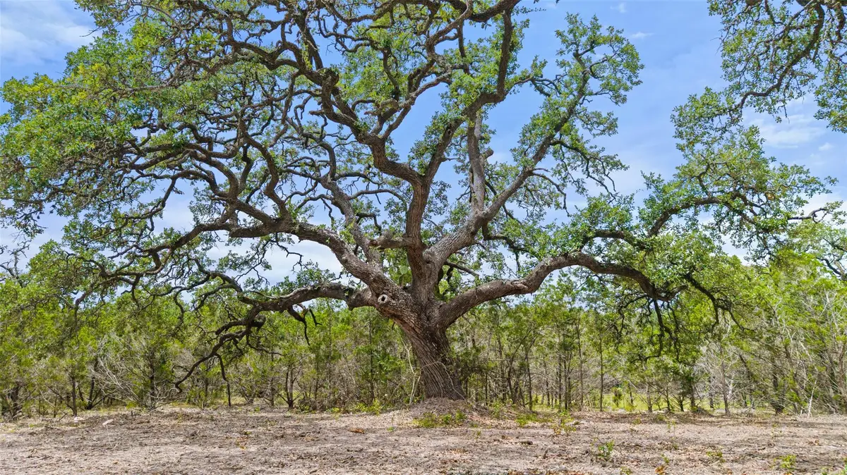 000 Oak Valley Ranch, Dripping Springs Wimberley, TX 78676 - Image #1
