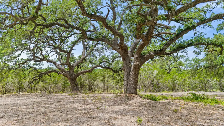 000 Oak Valley Ranch, Dripping Springs Wimberley, TX 78676 - Image #3