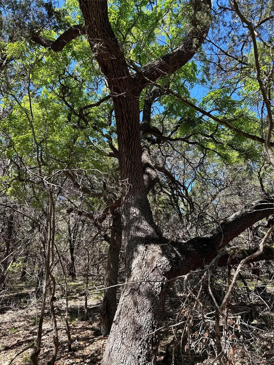 37 Heathrow Ln, Wimberley, TX 78676 - #2