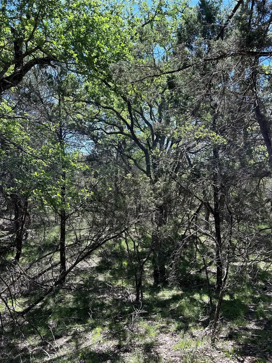 37 Heathrow Ln, Wimberley, TX 78676 - #3
