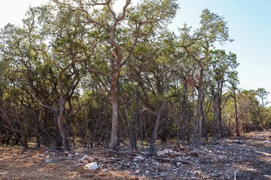 3101 - 2 Longhorn Trl, Wimberley, TX 78676 - Image #3