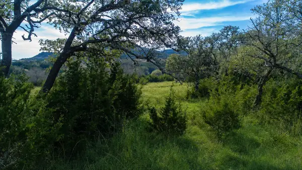717 Bluff Ridge Trl, Blanco, TX 78606