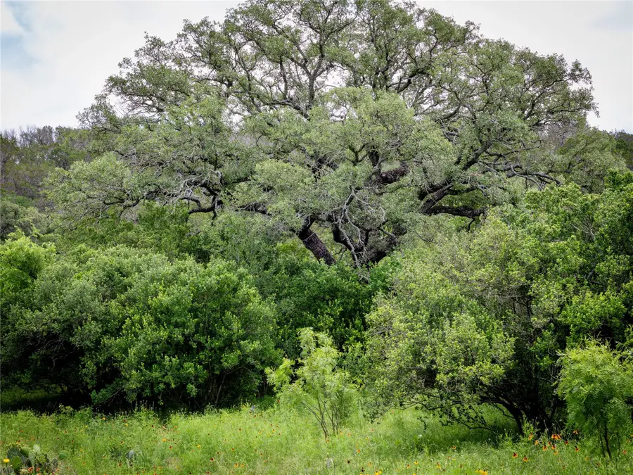 LOT MCE 2-A Chestnut Xing, Burnet, TX 78611 - #3
