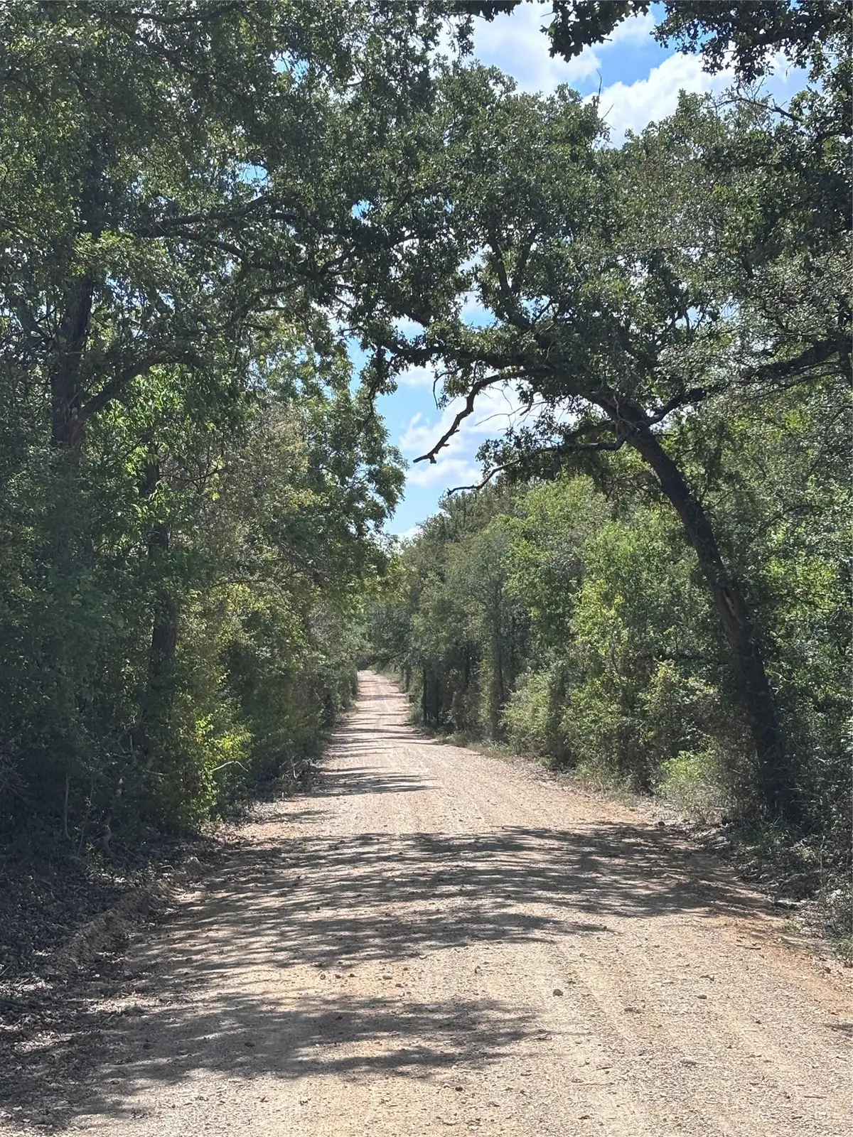 TBD 10.04 AC County Road 413, Thorndale, TX 76577 - Image #1