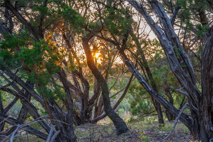 8144 Lake Mountain Ln, Leander, TX 78641 - Image #3