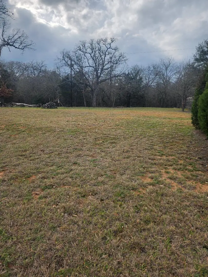 117 Allison Cv, Elgin, TX 78621 - Image #3