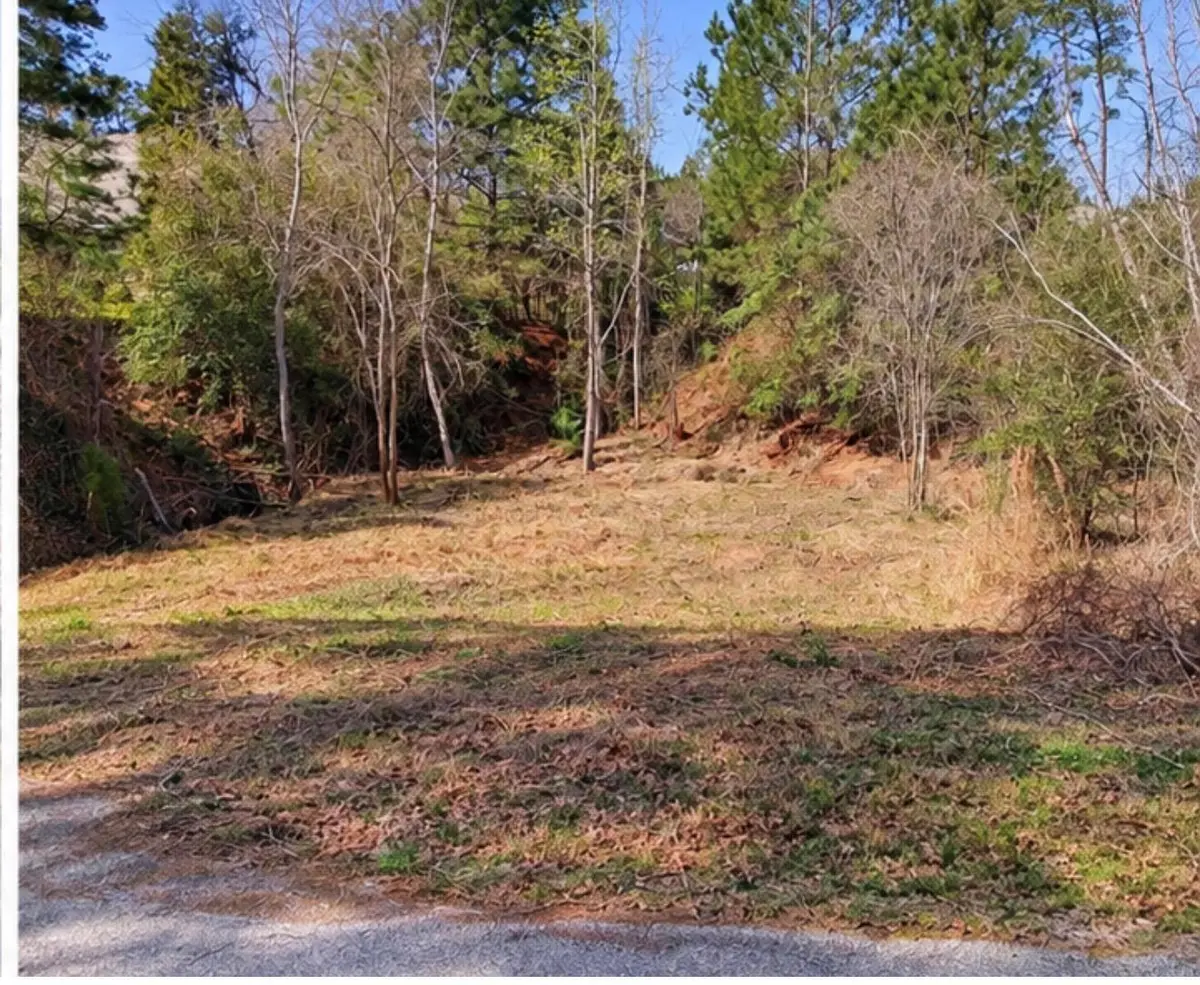 0 N Kanaio Dr, Bastrop, TX 78602 - #1