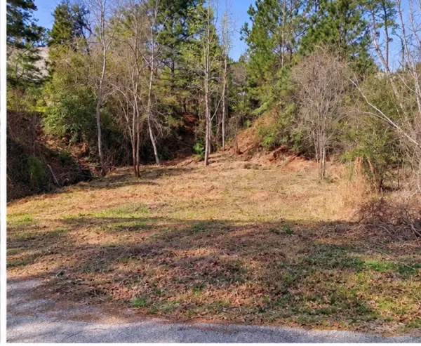 0 N Kanaio Dr, Bastrop, TX 78602