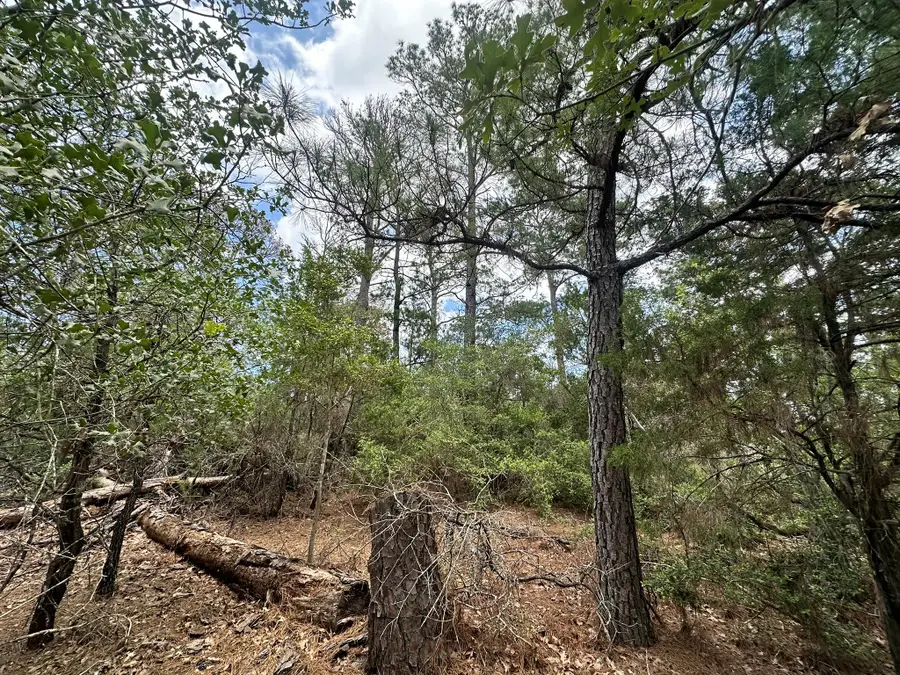 217 Helemano Dr, Bastrop, TX 78602 - #2