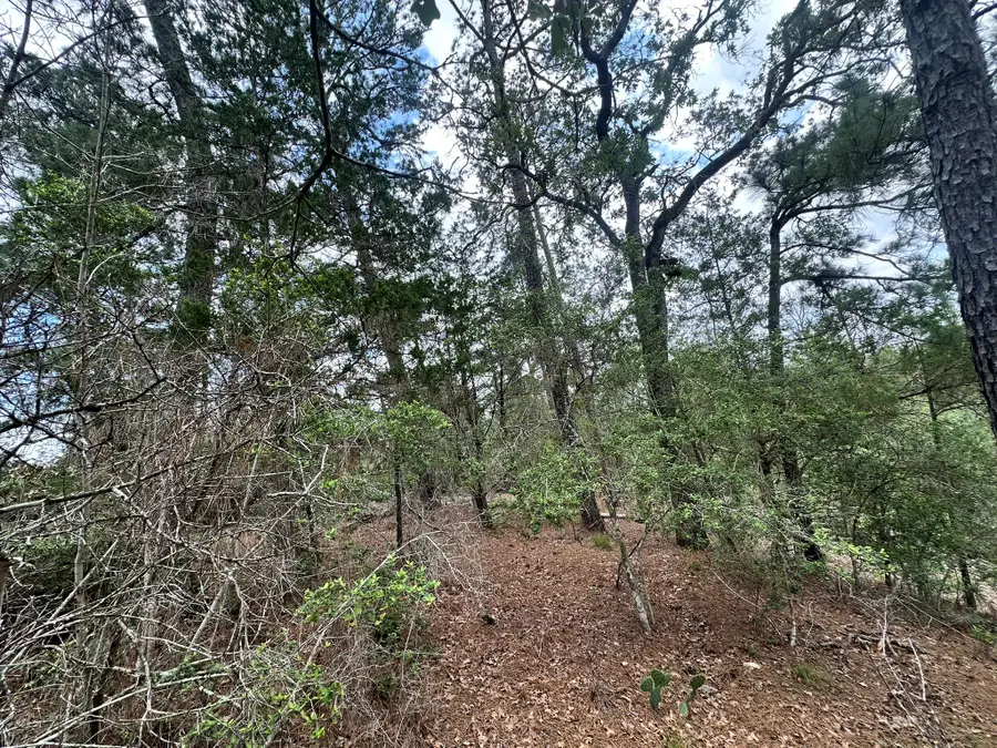 217 Helemano Dr, Bastrop, TX 78602 - #3