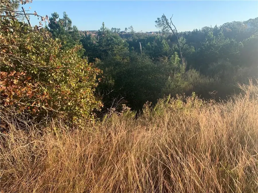 Lot 3 Kainalu Ln, Bastrop, TX 78602 - Image #2