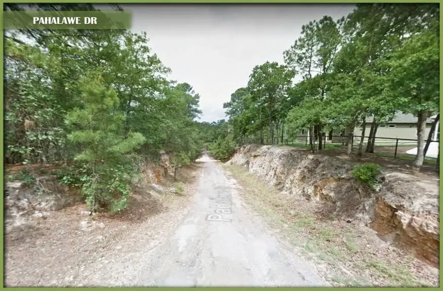 0 Pahalawe Ln, Bastrop, TX 78602 - Image #3