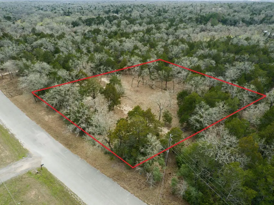 000 Leisure Ln, Cedar Creek, TX 78612 - #2