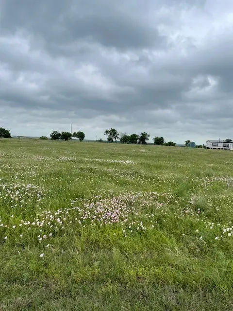 495 County Road 423 Ct, Taylor, TX 76574 - Image #3