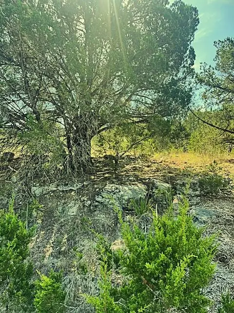 20013 Columbus Ln, Lago Vista, TX 78645 - Image #2