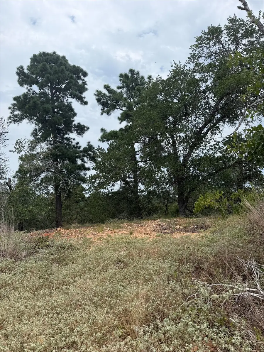 Lot 237 Kaelupulu Dr, Bastrop, TX 78602 - #2