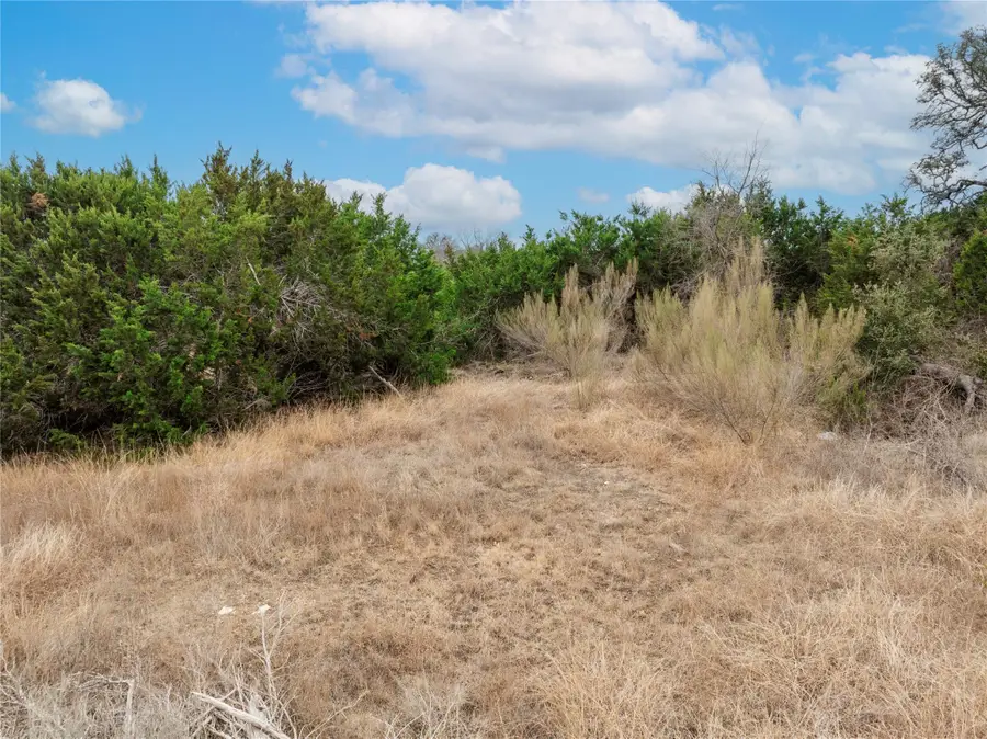 220 Lantana Bud Trl, Liberty Hill, TX 78642 - Image #3