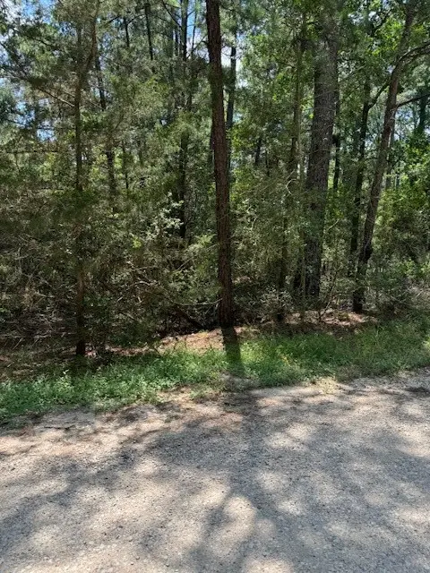 Lot 250 Hekili Dr, Bastrop, TX 78602 - Image #1