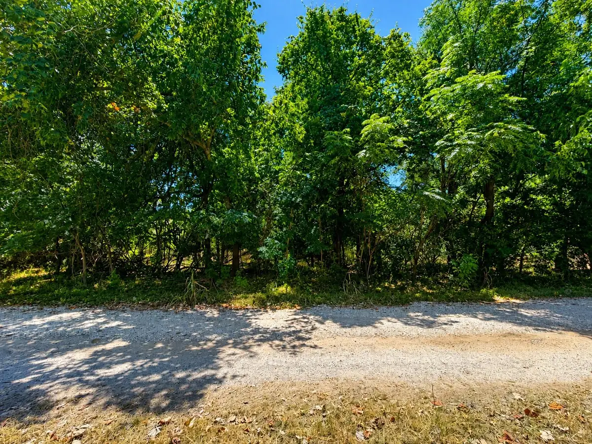 TBD Buckner Ln, Burnet, TX 78611 - #1