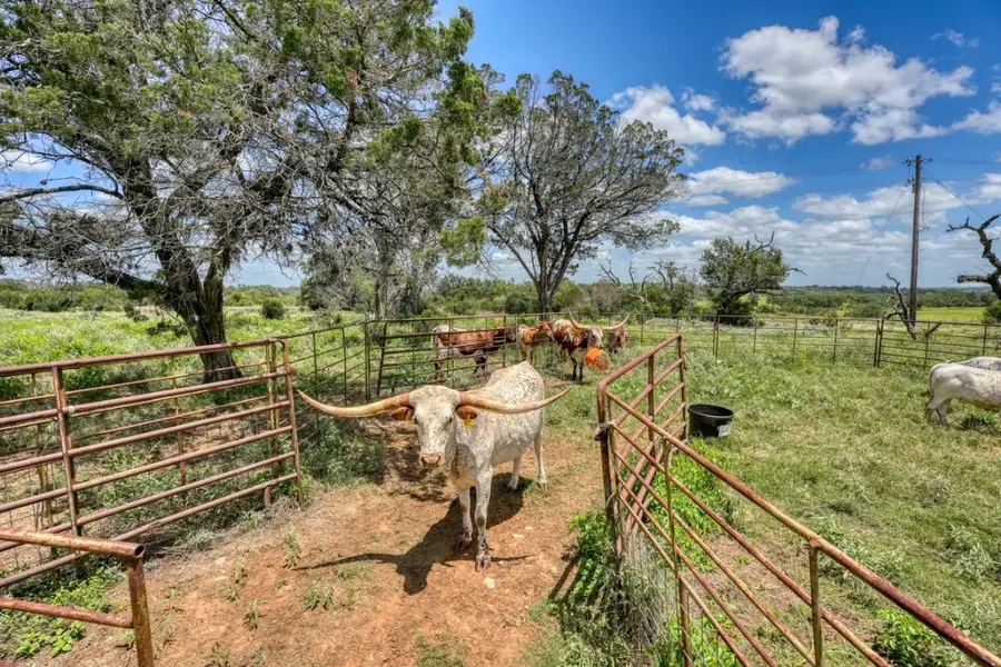 691 Grape Creek Rd, Johnson City, TX 78636 - Image #3