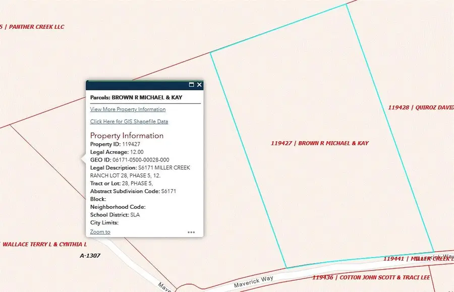 Tract 28 Miller Creek, Briggs, TX 78608 - Image #3